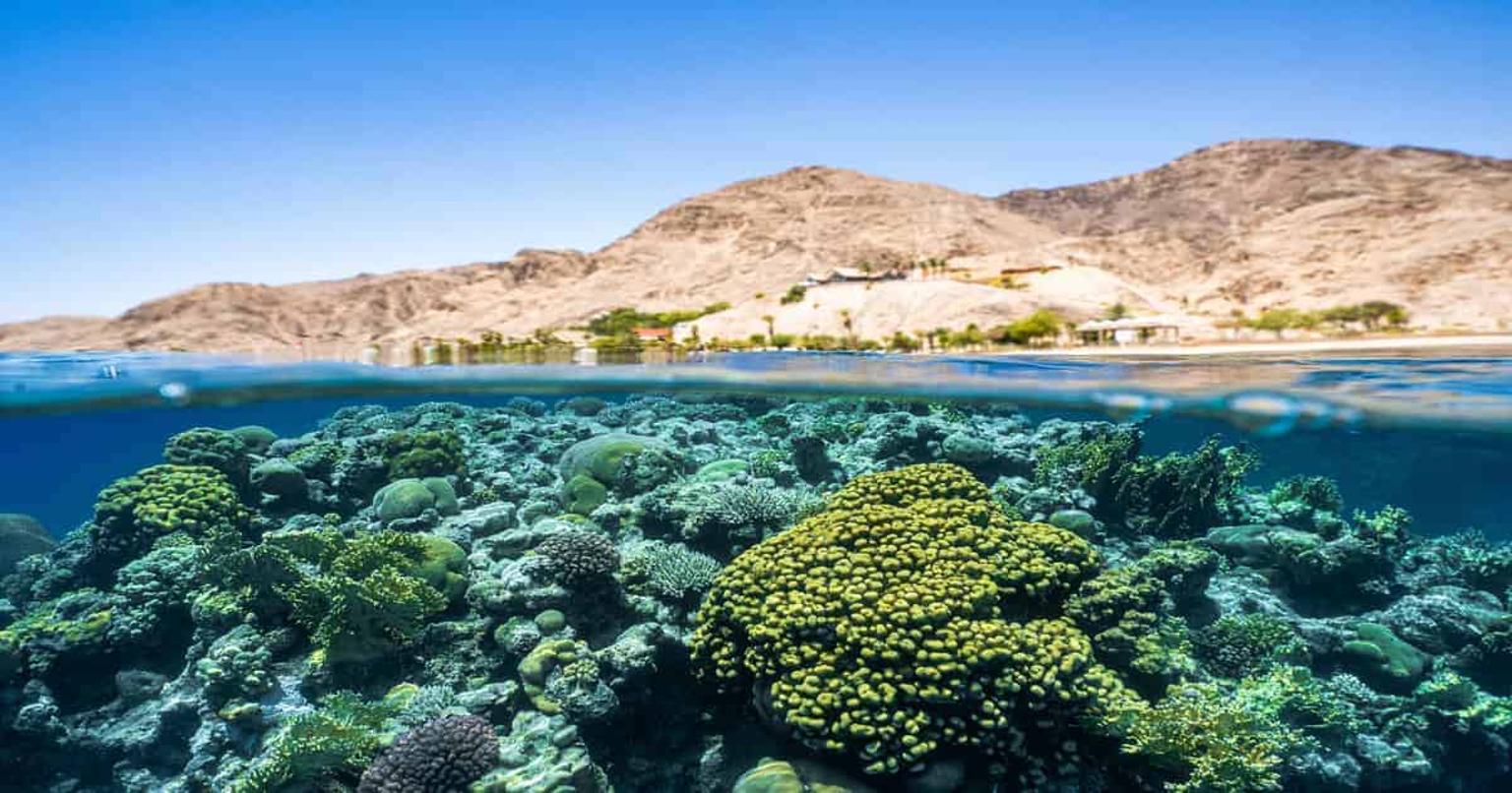 Red Sea history: from ancient trade routes to today
