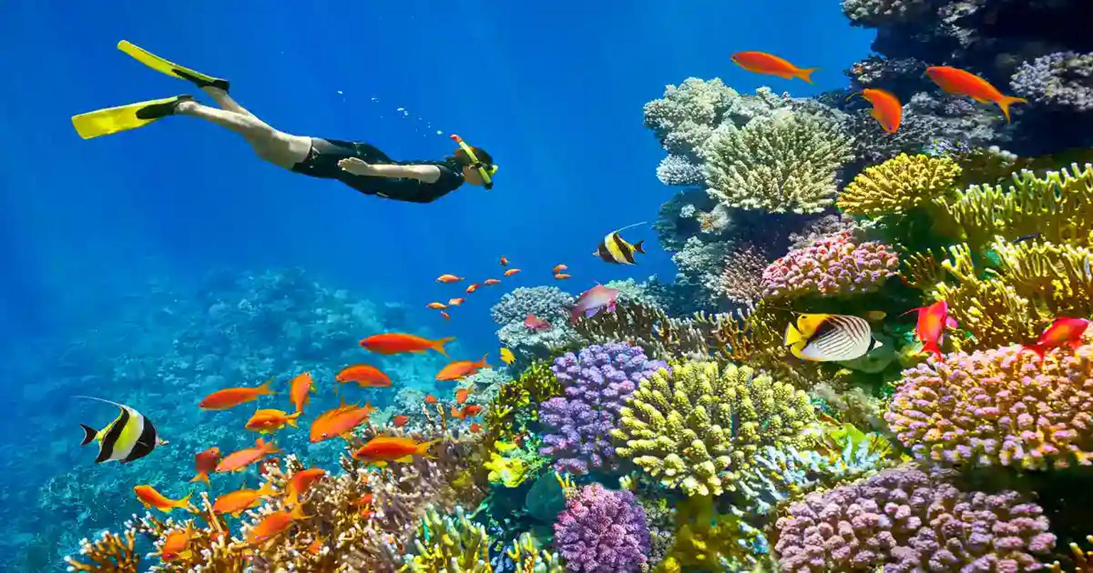 Sharm El-Sheikh Scuba Diving