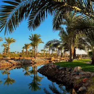 Beautiful view of palm trees at sunset in Soma Bay, Hurghada, Egypt