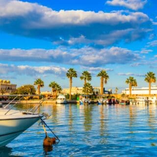 Scenic waterfront with boats and palm trees
