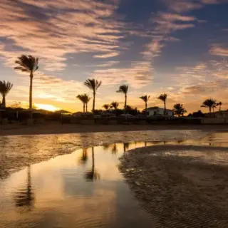 Beautiful romantic sunset over a sandy beach and palm trees. Egypt. Hurghada