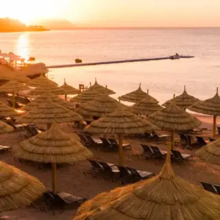 Sunset at the beach with palm trees, parasols and sunbeds.
