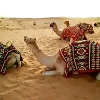 9-day Classic Egypt