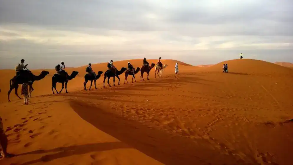 A group traveling on camels over reddish sands under a cloudy sky in a vast desert landscape. Desert Safari Adventures Guide to Visiting Egypts Best Places