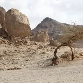 Trip to Wadi El Gemal