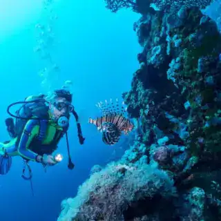 Lion fish and scuba diver in Red Sea, Marsa Alam, Egypt Giftun Island snorkeling trip