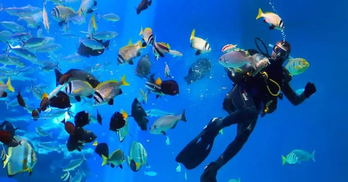 places to visit in Egypt including Pyramids of Giza