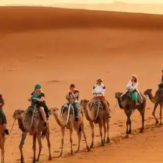 desert safari egypt sharm el sheikh Camel ride in desert with traditional saddle, authentic Bedouin experience