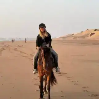 Sharm El Sheikh Desert rider on horseback with panoramic desert views and Bedouin tent in background